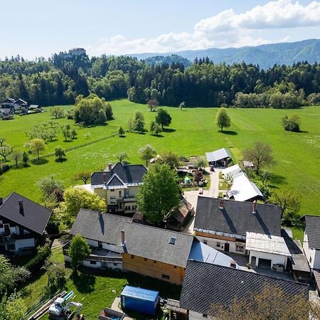 House, Garden And A Green Cat Bled Exterior foto