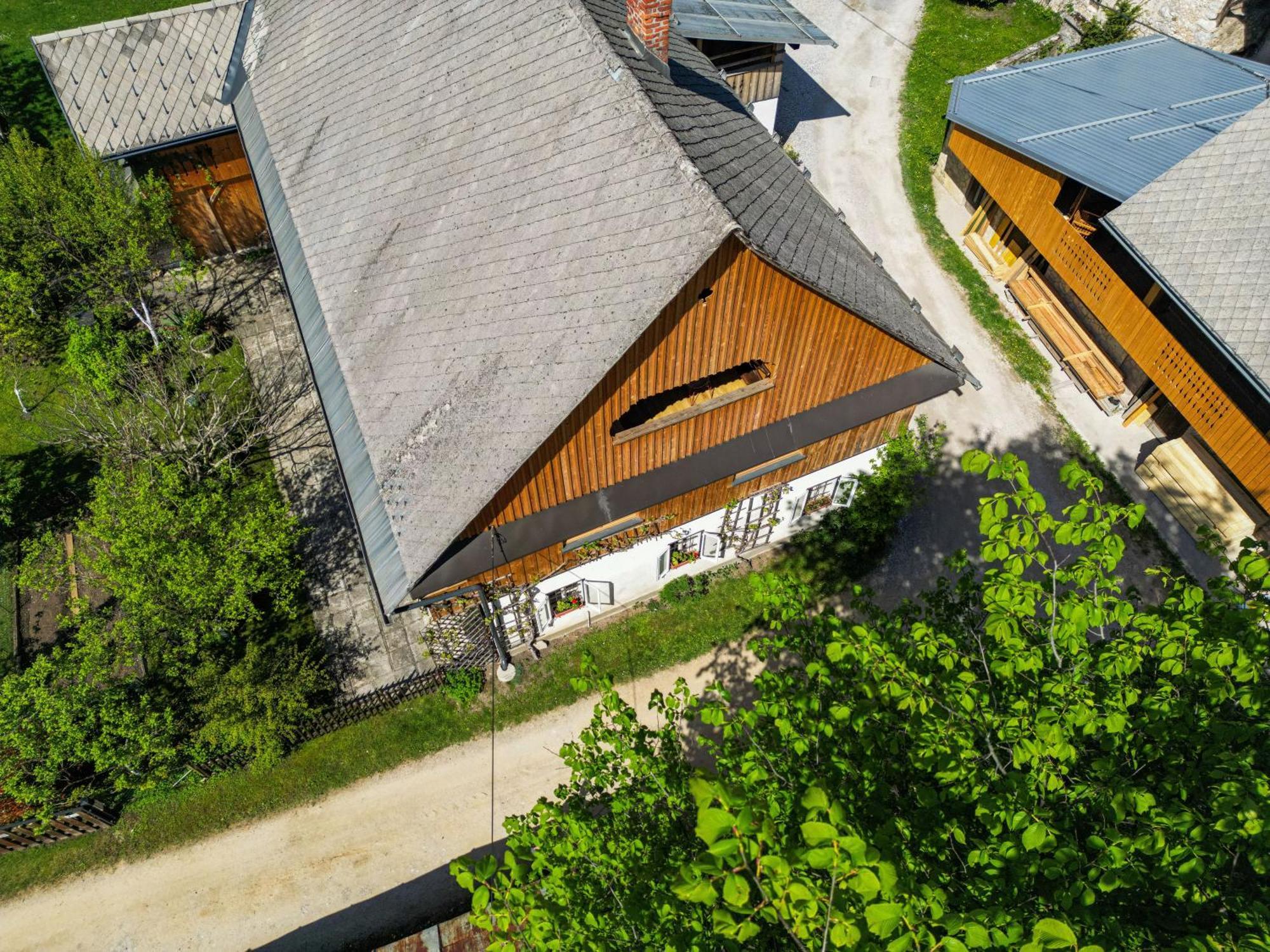 House, Garden And A Green Cat Bled Exterior foto