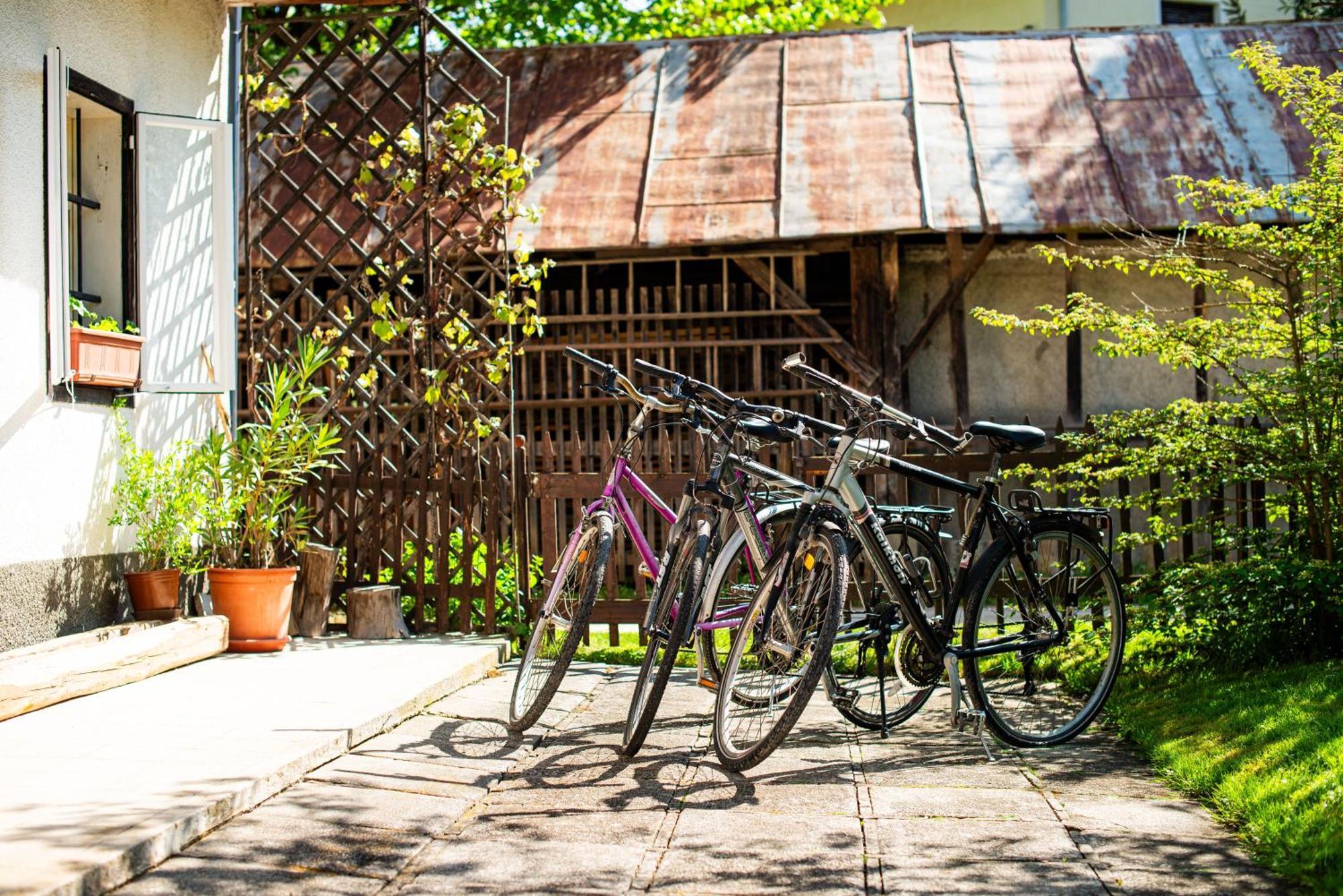 House, Garden And A Green Cat Bled Exterior foto